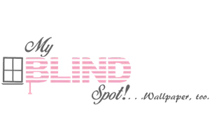 logo_0018_My Blind Spot